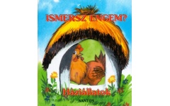 Ismersz engem? - Háziállatok - Leporelló KBB TD0217